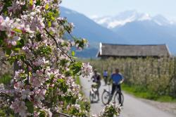 pista ciclabile della Valle dell'Adige – Andare in bicicletta a Merano