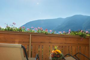 vista dal balcone sui prati di mele