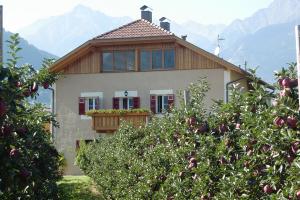 prati di mele presso casa in autunno