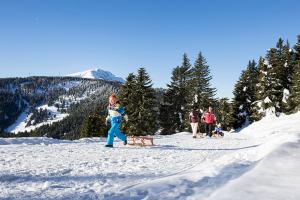 Tobogganing fun at the Vigiljoch