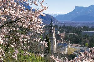 Frühling am Tappeinerweg in Meran