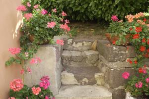 Stone stairs at the Stöckerhof