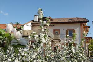 Stöckerhof at the time of the apple blossom