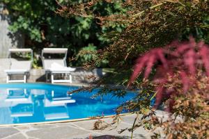 la nostra piscina nel giardino curato