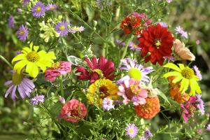 Sea of flowers in summer time