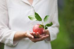 Apfel und Ärzte