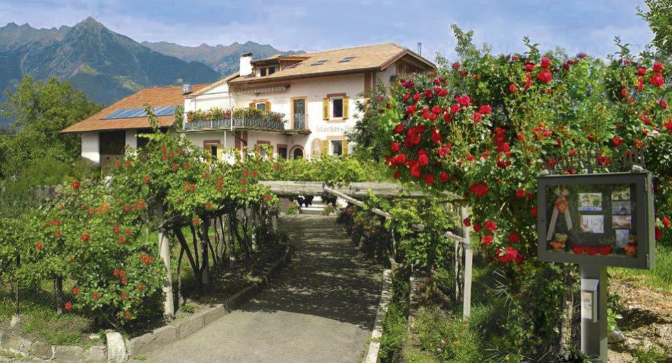 Stöckerhof – holiday on a farm in Meran