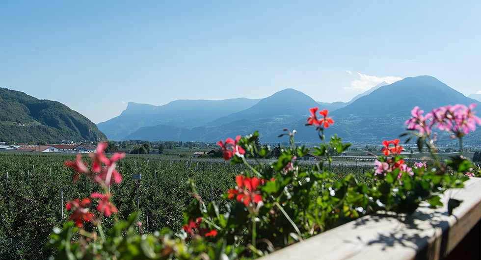 Ausblick von den Ferienwohnungen am Stöckerhof in Meran