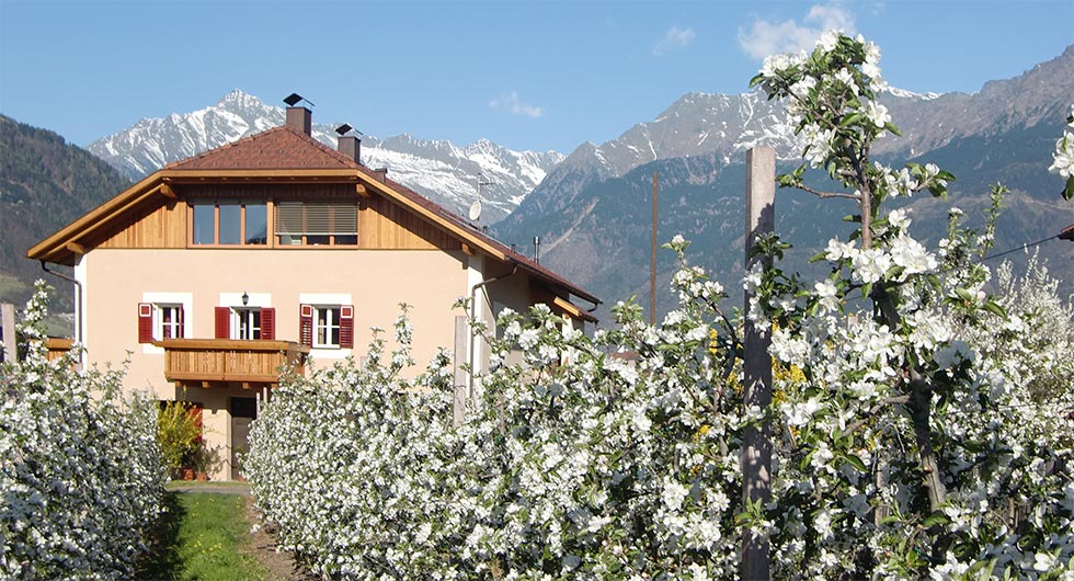 Blumenhaus neben dem Stöckerhof im Frühling